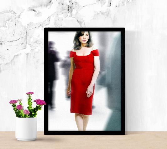 The Good Wife framed poster