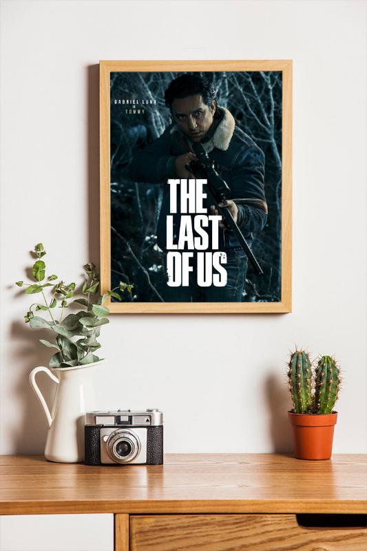 The Last of Us framed poster