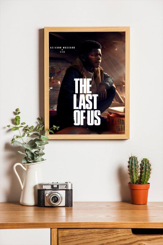 The Last of Us framed poster