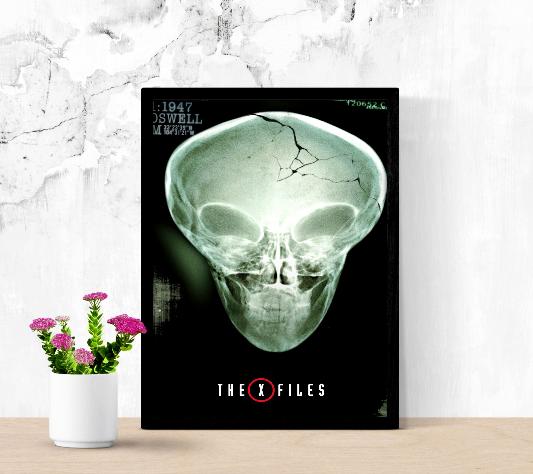 The X Files framed poster